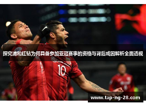 探究浦和红钻为何具备参加亚冠赛事的资格与背后成因解析全面透视