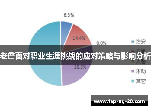 老詹面对职业生涯挑战的应对策略与影响分析