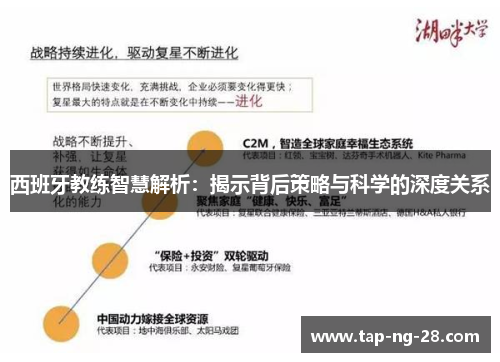 西班牙教练智慧解析：揭示背后策略与科学的深度关系