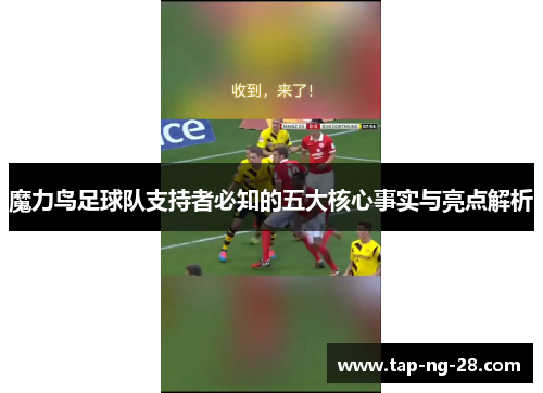 魔力鸟足球队支持者必知的五大核心事实与亮点解析